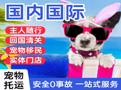 大兴航空运输国际宠物托运 【国